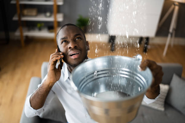 Best Water damage restoration near me  in Greenwood, MO