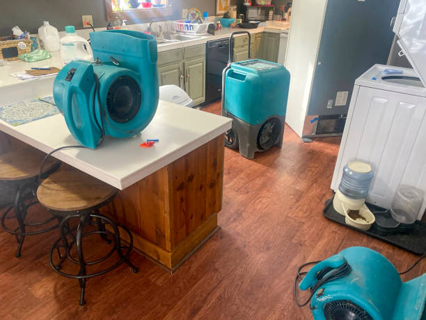 Best Fire Damage Restoration  in Greenwood, MO