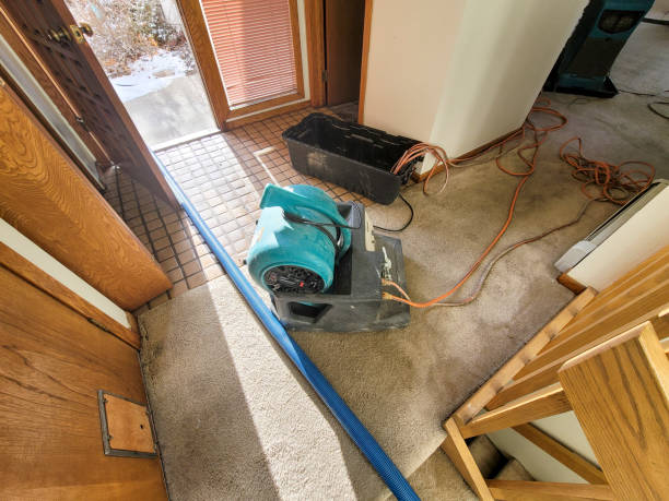 Reliable Greenwood, MO Water damage restoration Solutions