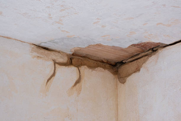 Best Sewage cleanup and water damage restoration  in Greenwood, MO
