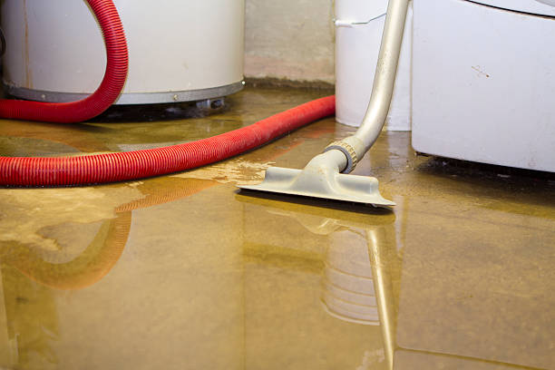 Reliable Greenwood, MO Water damage restoration Solutions