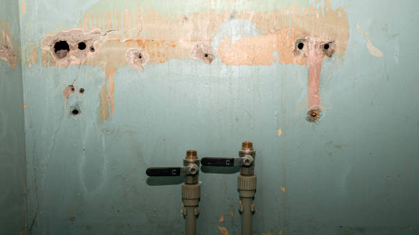 24/7 water damage repair in Greenwood, MO