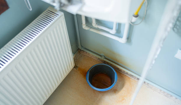 Best Water damage restoration near me  in Greenwood, MO