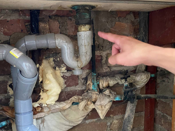 Best Water damage contractors near me  in Greenwood, MO