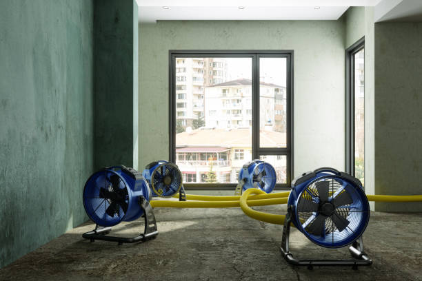 Best Ceiling water damage repair  in Greenwood, MO