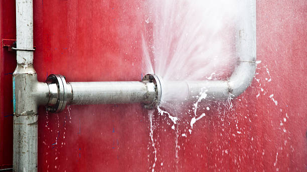 Best Water damage repair service  in Greenwood, MO
